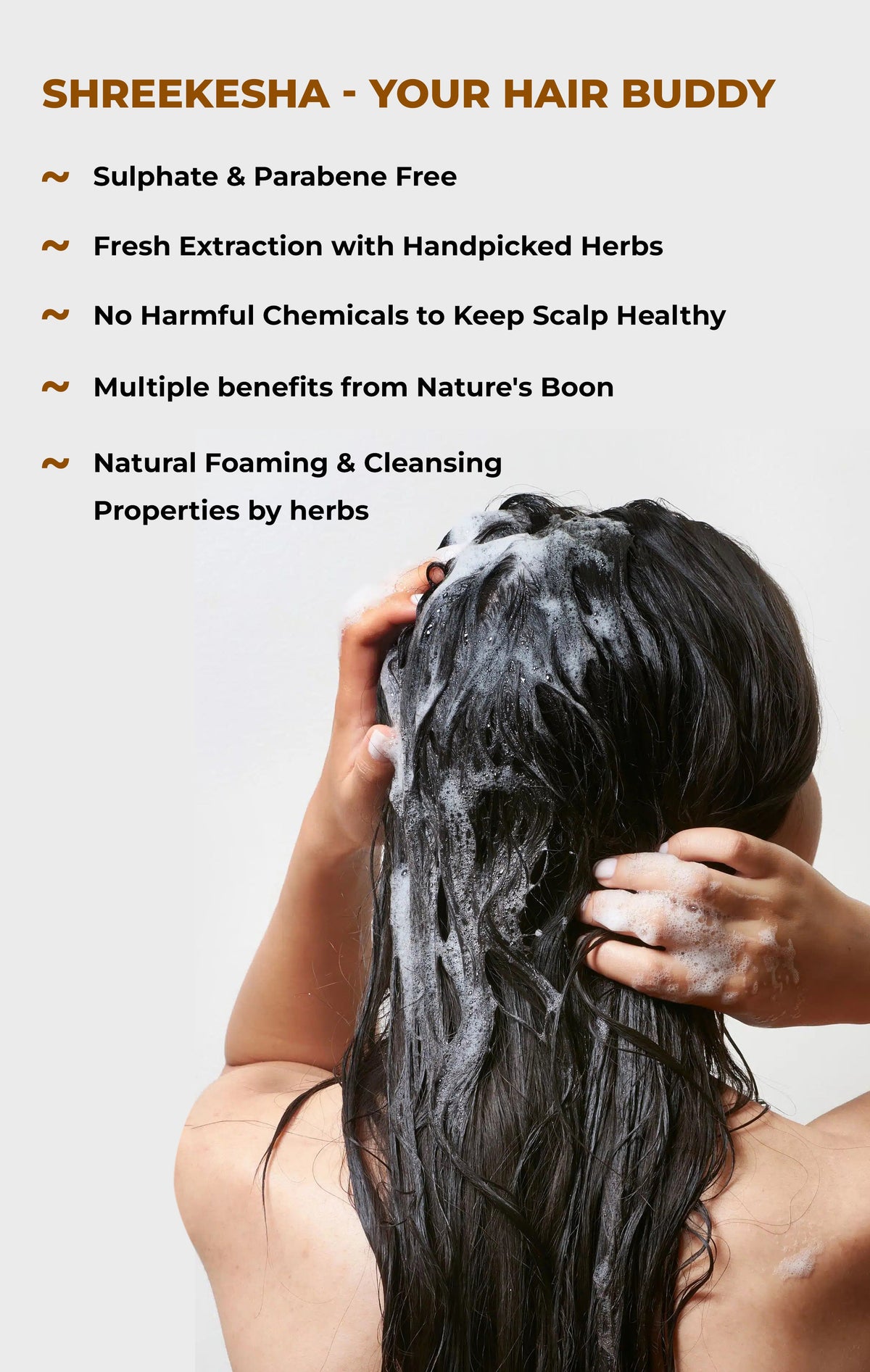 Shreekesha Amla Reetha Shikakai Sulphate Free Shampoo (350 ml)